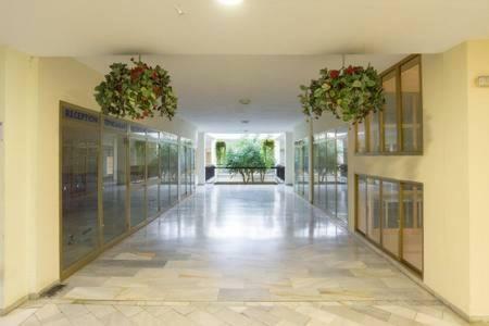 Estudio Nuevo Benalbeach Lejlighed *